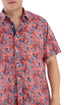 Cremieux, Talla L