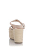 Marc Fisher, Talla 36