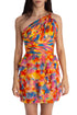 Dalia Macphee, Talla 2