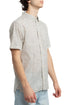 AllSaints, Talla M