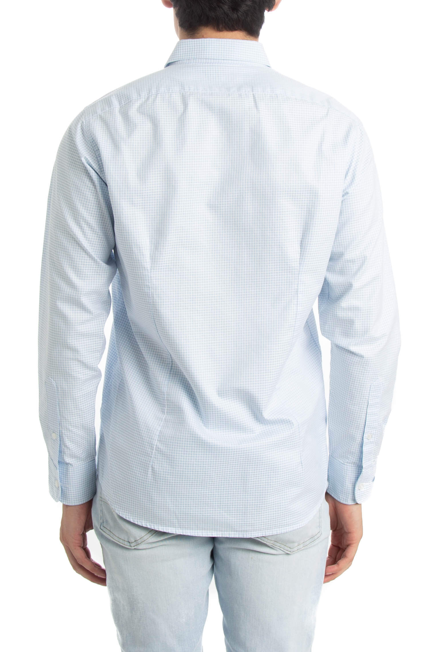 Pavone, Talla M
