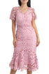 Shoshanna, Talla 2
