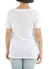Splendid, Talla S