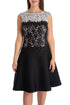 Tadashi Shoji, Talla 8