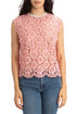 Sandro, Talla S