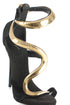 Giuseppe Zanotti, 8 USA