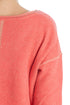 Moth, Talla M